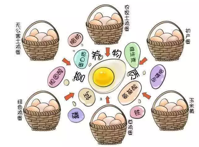 遍尋菜譜收集的雞蛋7中新吃法，第2中最好，第7中最營養(yǎng)